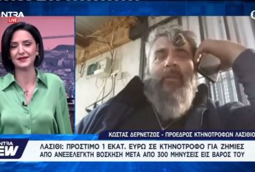 Λασίθι: Πρόστιμο 1 εκατ. ευρώ σε κτηνοτρόφο για ζημιές από ανεξέλεγκτη βόσκηση – Video