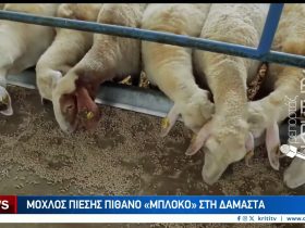 Η Κρήτη σε αναβρασμό — Παγκρήτιος ξεσηκωμός στις 8 Δεκεμβρίου – Video