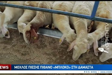 Η Κρήτη σε αναβρασμό — Παγκρήτιος ξεσηκωμός στις 8 Δεκεμβρίου – Video