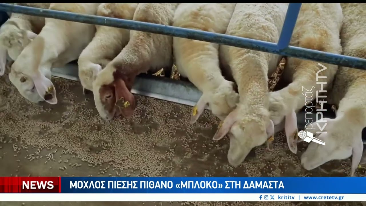 Η Κρήτη σε αναβρασμό — Παγκρήτιος ξεσηκωμός στις 8 Δεκεμβρίου – Video